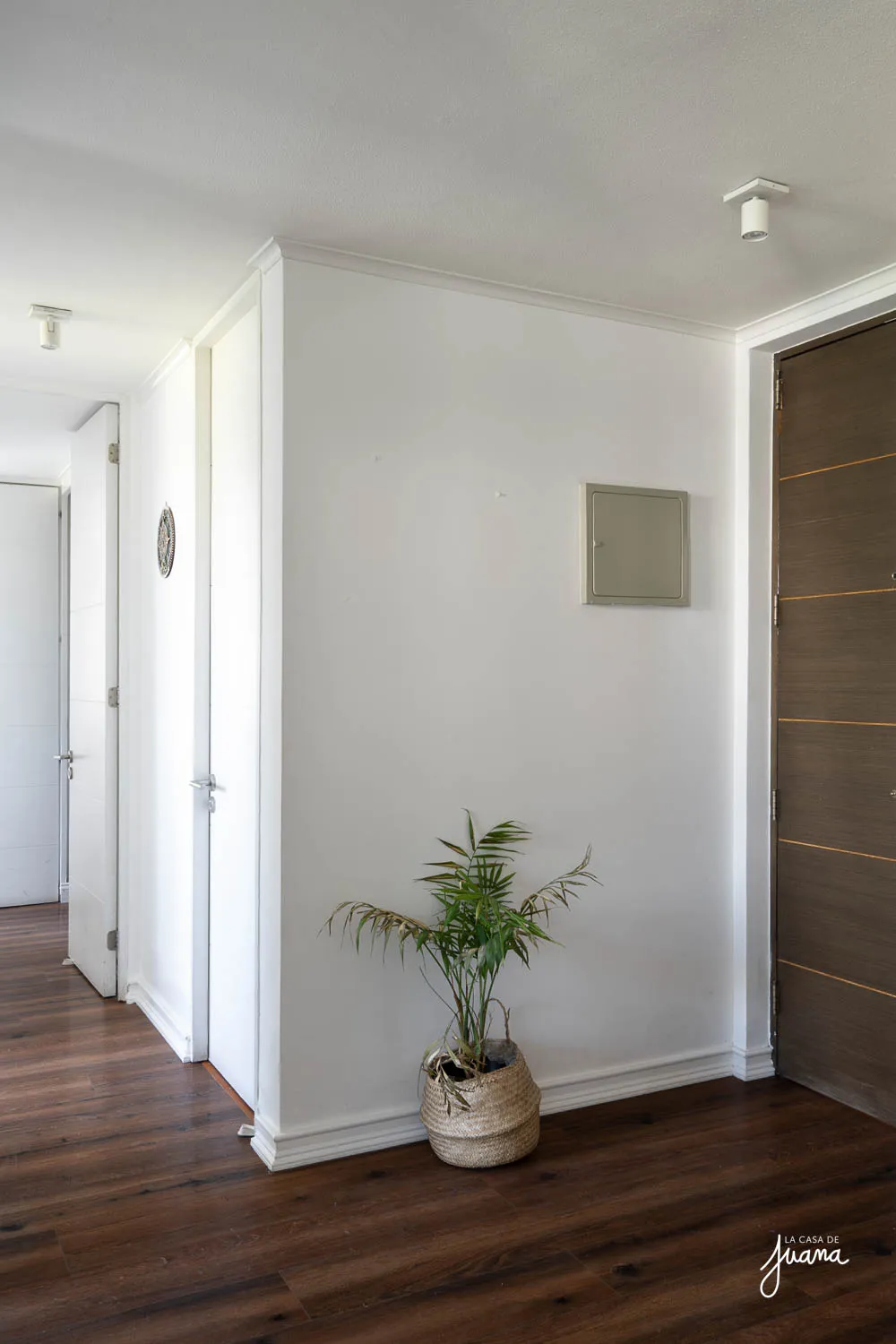 Piso_Cerro_Colorado_image_13