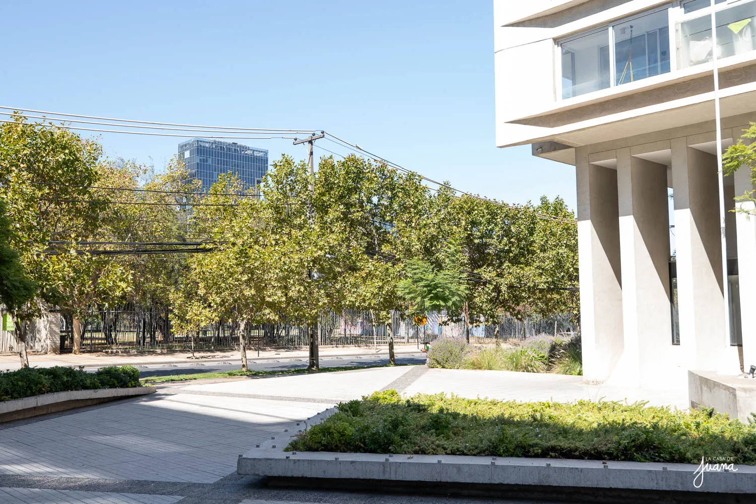 Piso_Cerro_Colorado_image_38