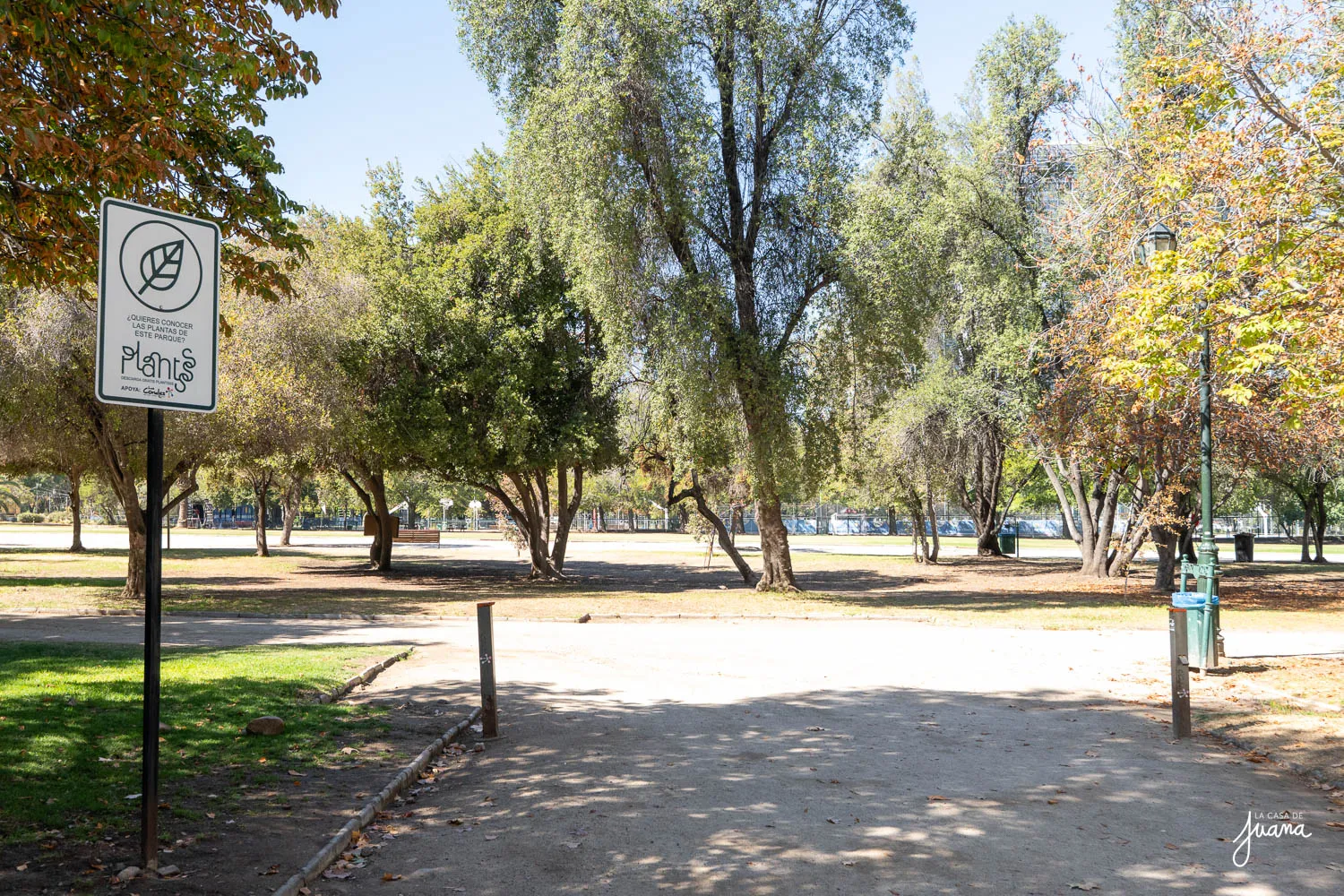 Piso_Cerro_Colorado_image_39