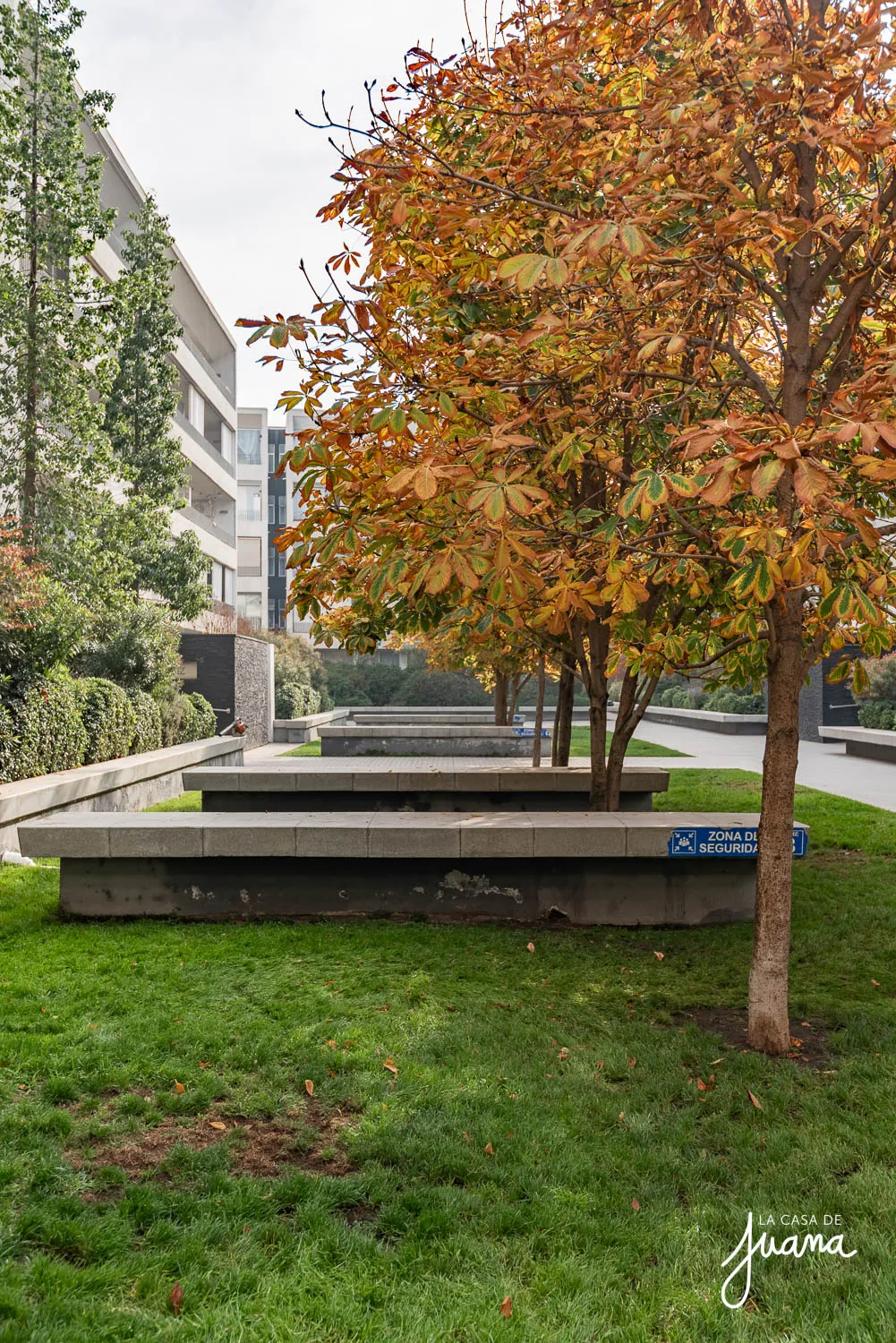 Piso_Pedro_Torres_image_33