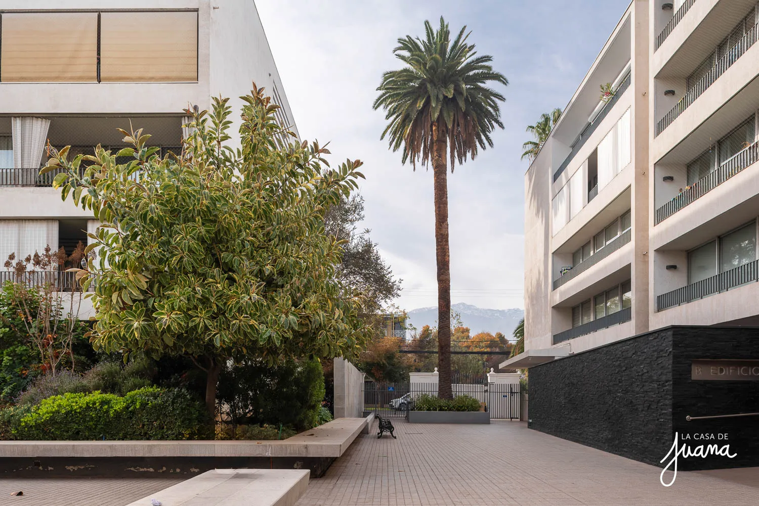 Piso_Pedro_Torres_image_35