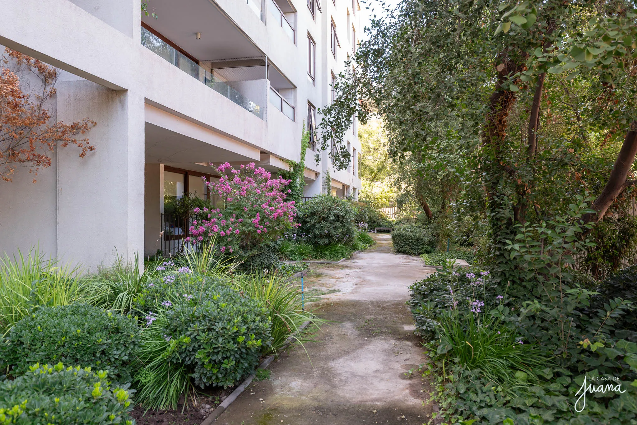 Piso_Pío_XI_image_40