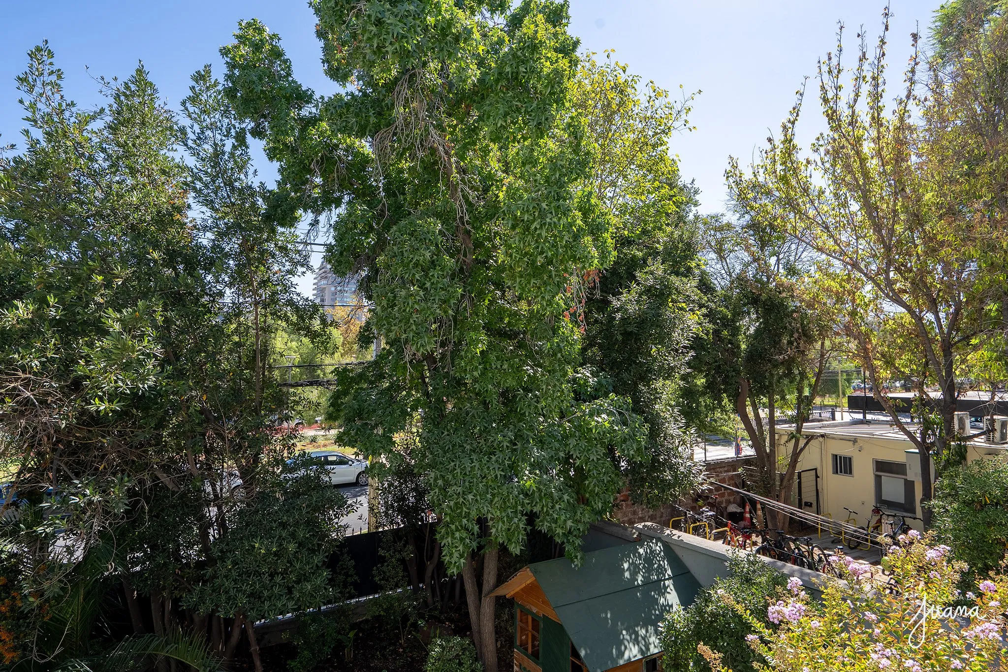 Piso_Presidente_Errázuriz_image_23