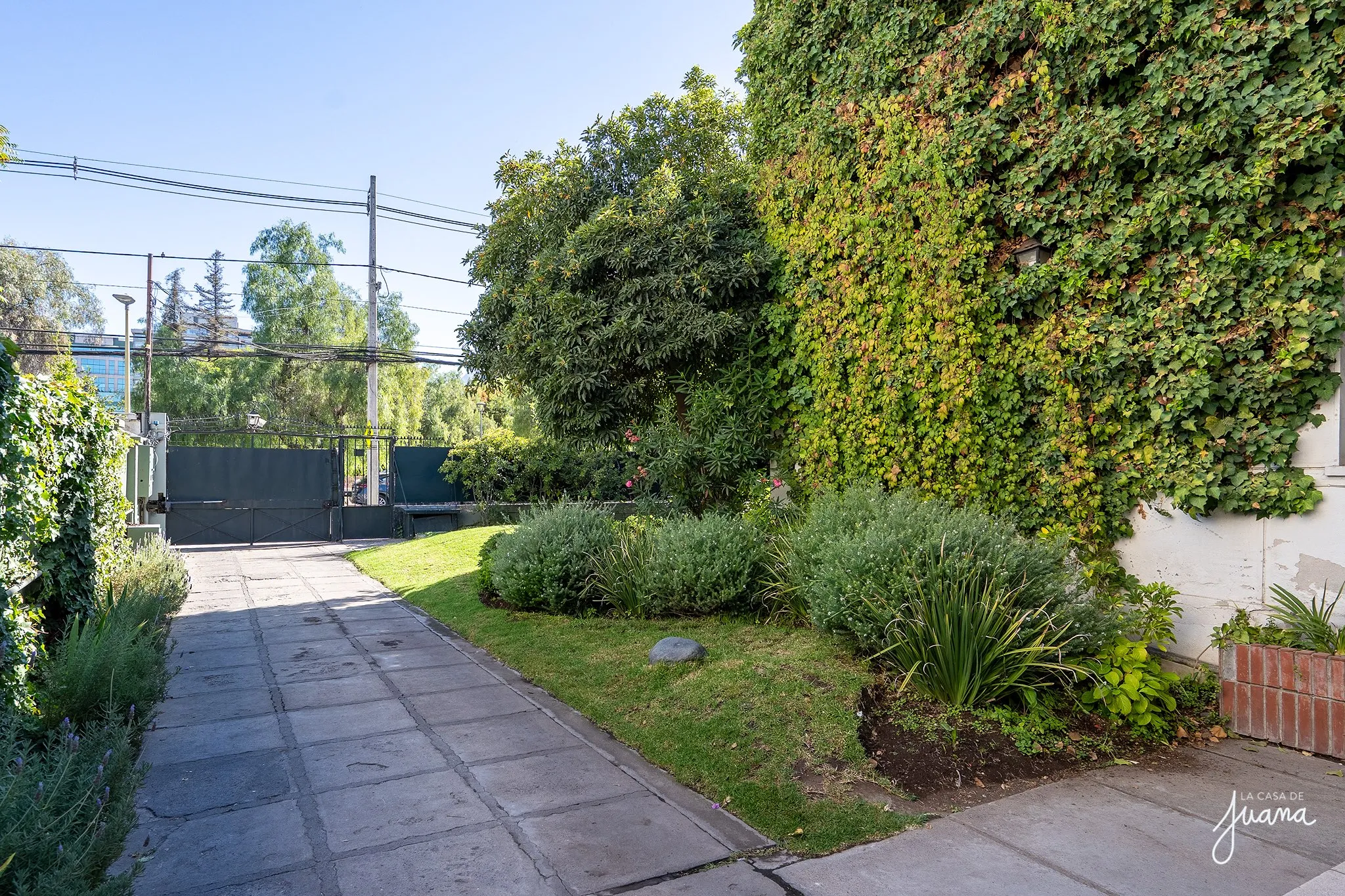 Piso_Presidente_Errázuriz_image_48