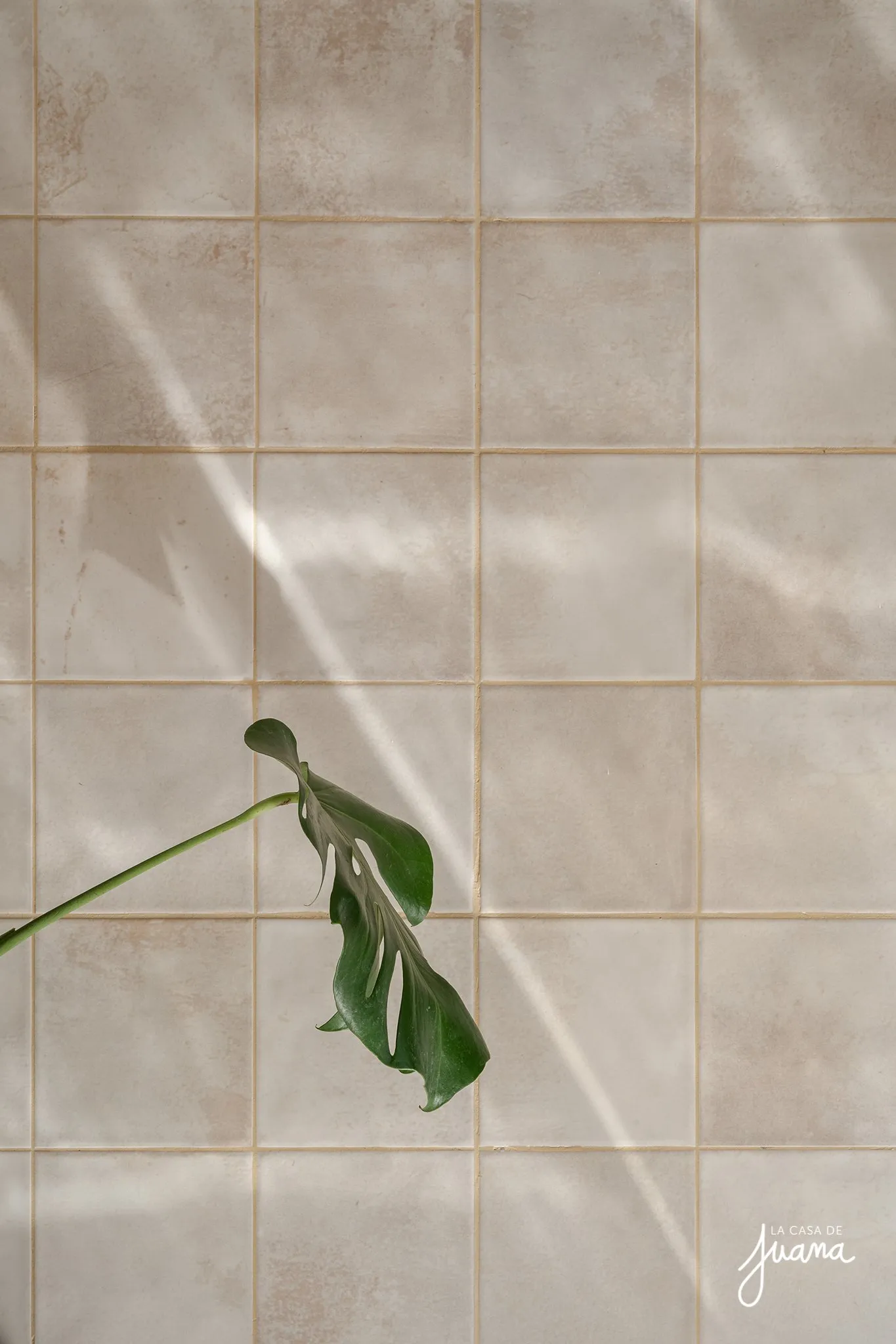 Casa_Calatayud_image_19