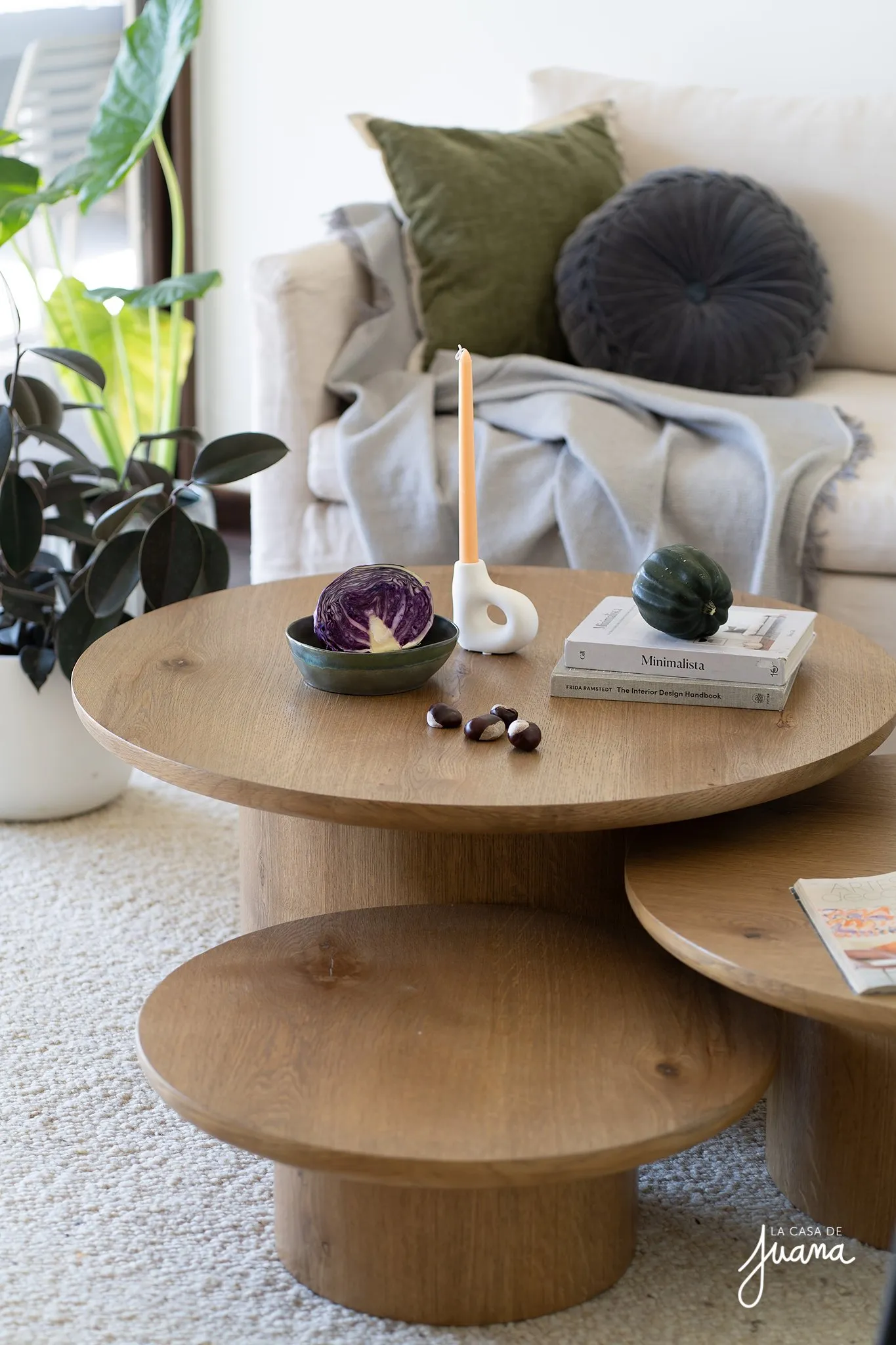 Casa_Camino_Las_Pataguas_image_6