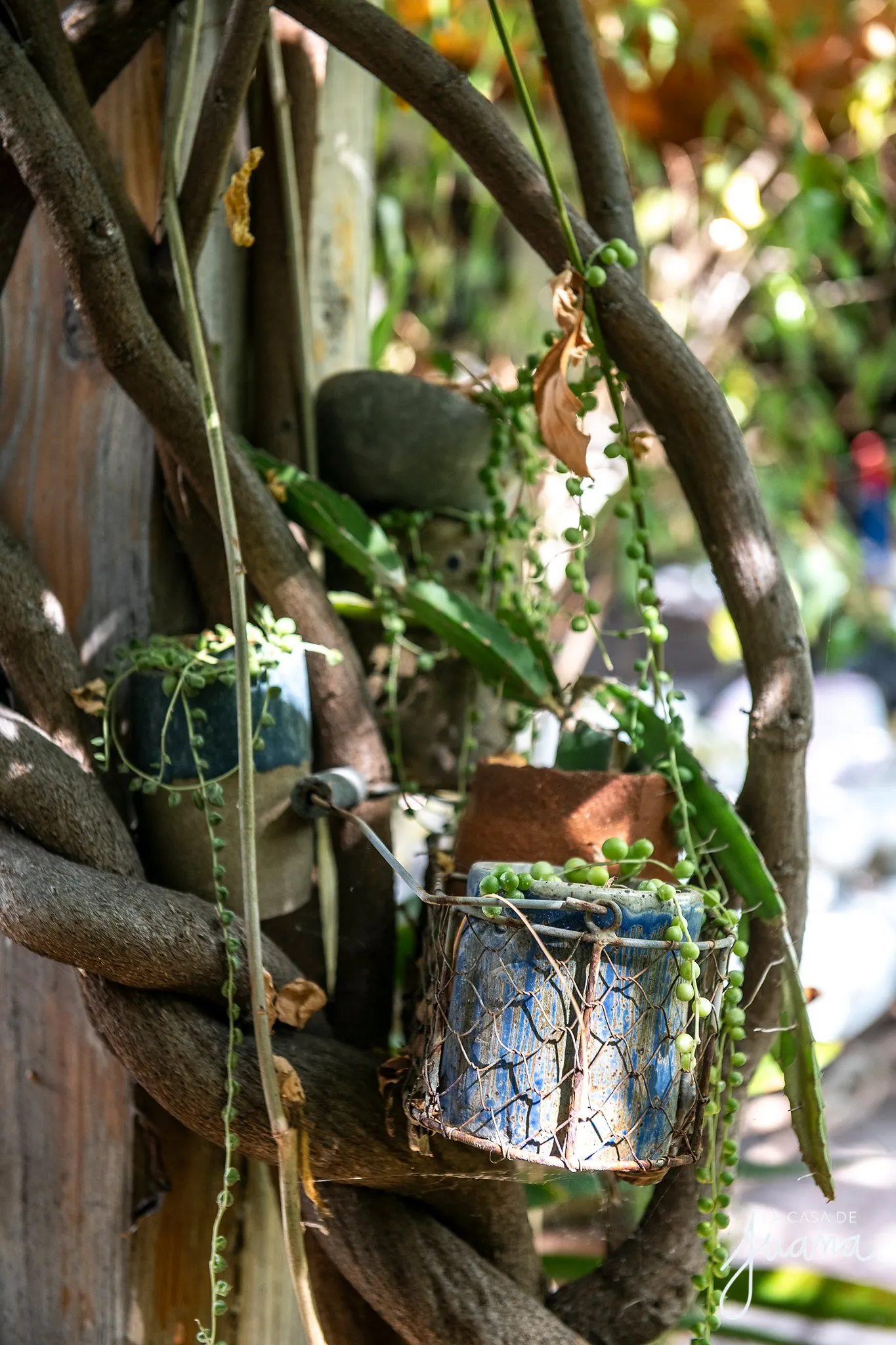 Casa_Simón_Bolivar_image_14