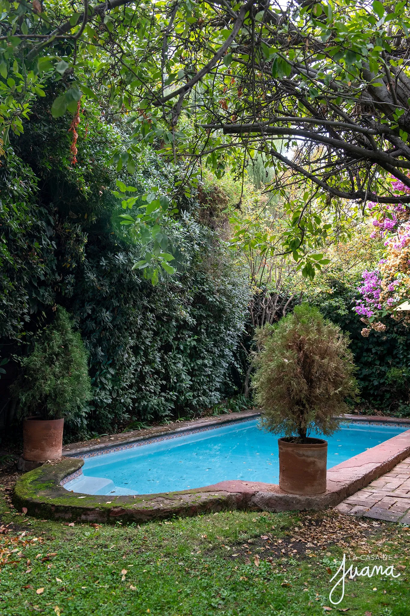 Casa_Simón_Bolivar_image_36