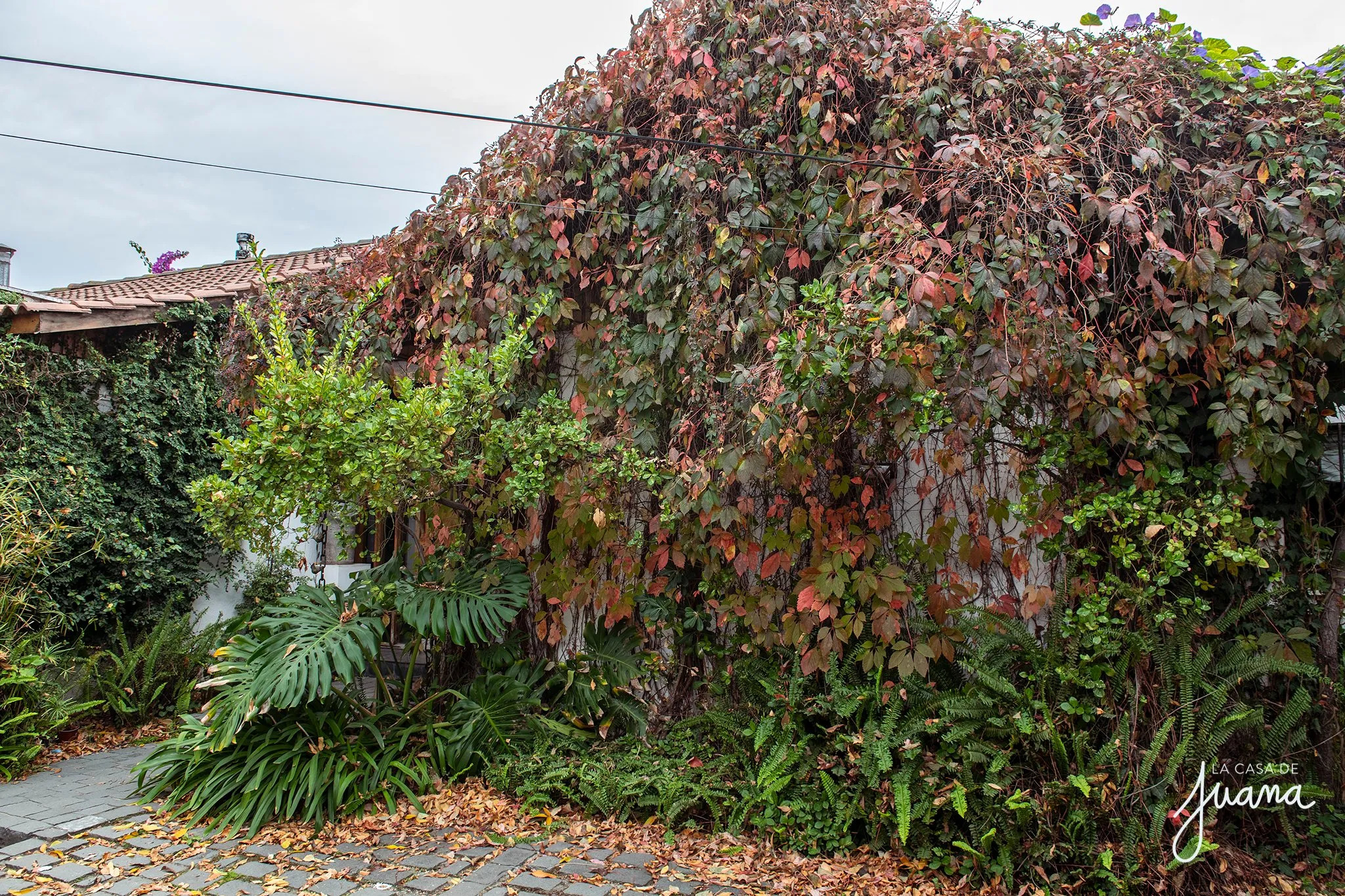 Casa_Simón_Bolivar_image_43