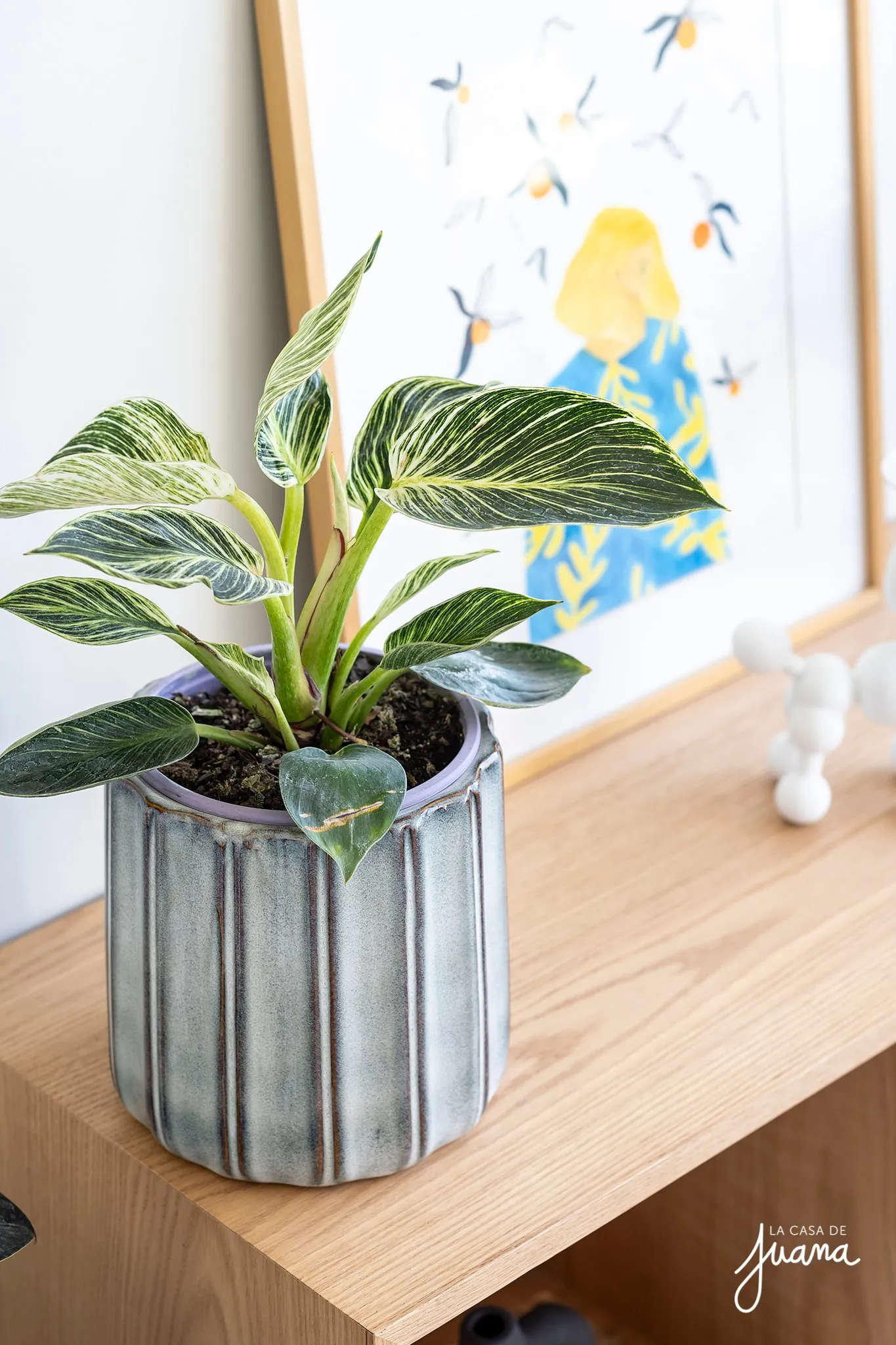 Dúplex_Alcalde_Jorge_Monckeberg_image_36