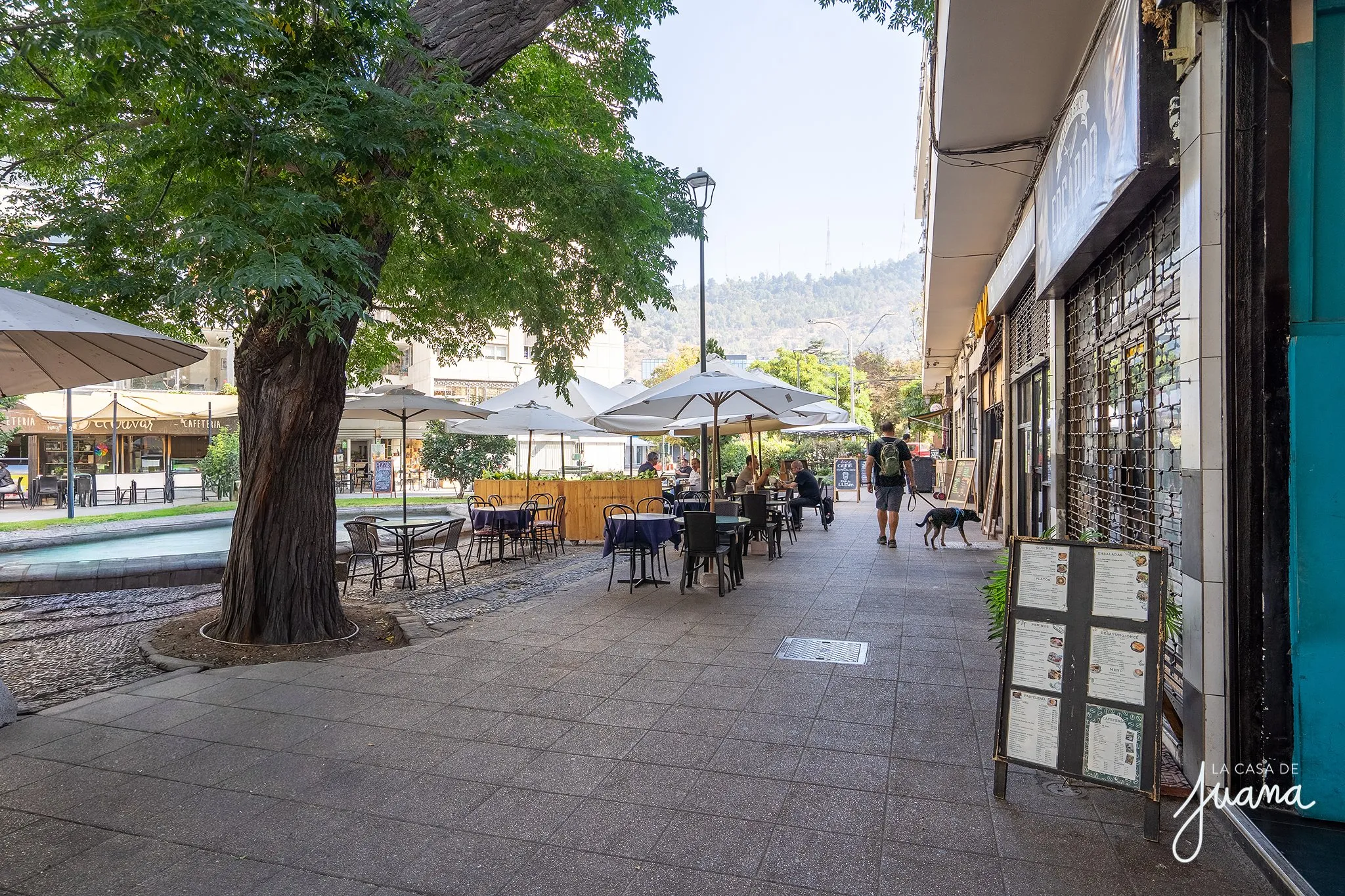 Piso_Andrés_Bello_image_31