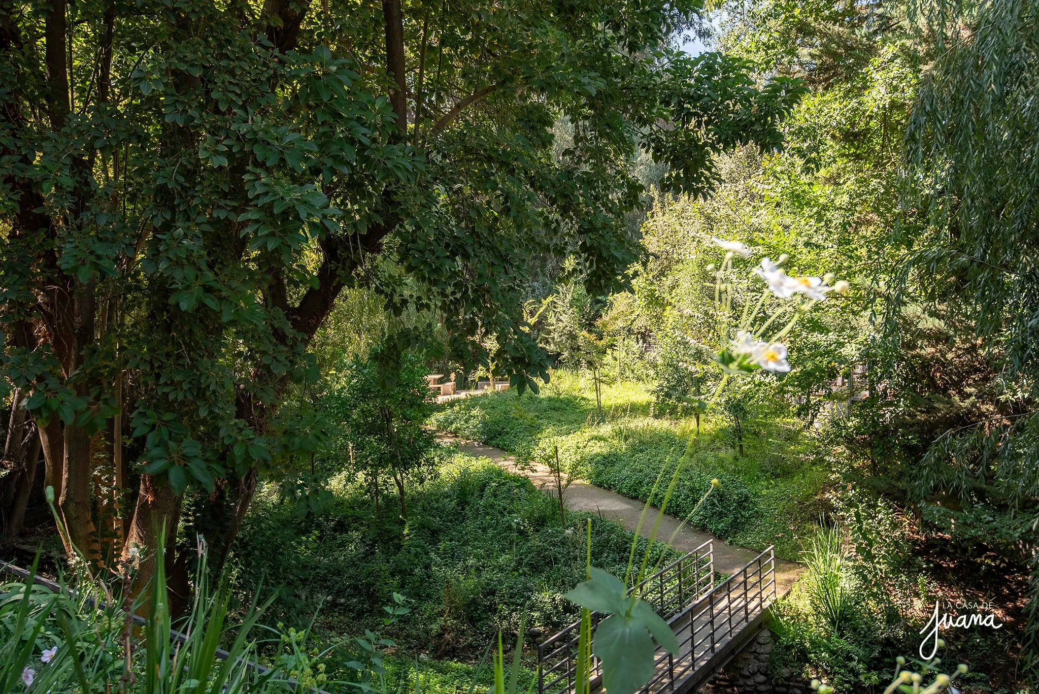 Piso_Camino_Turístico_image_31