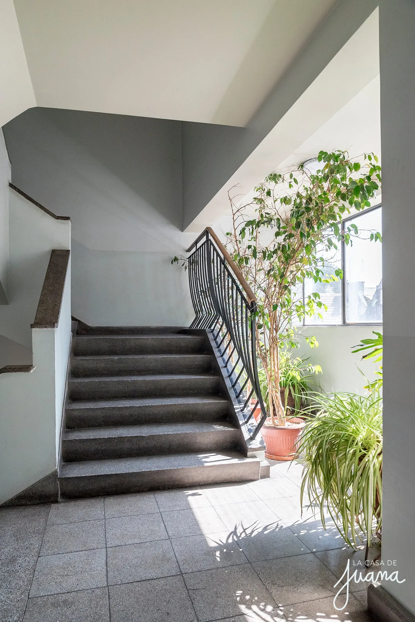 Piso_Canadá_image_34