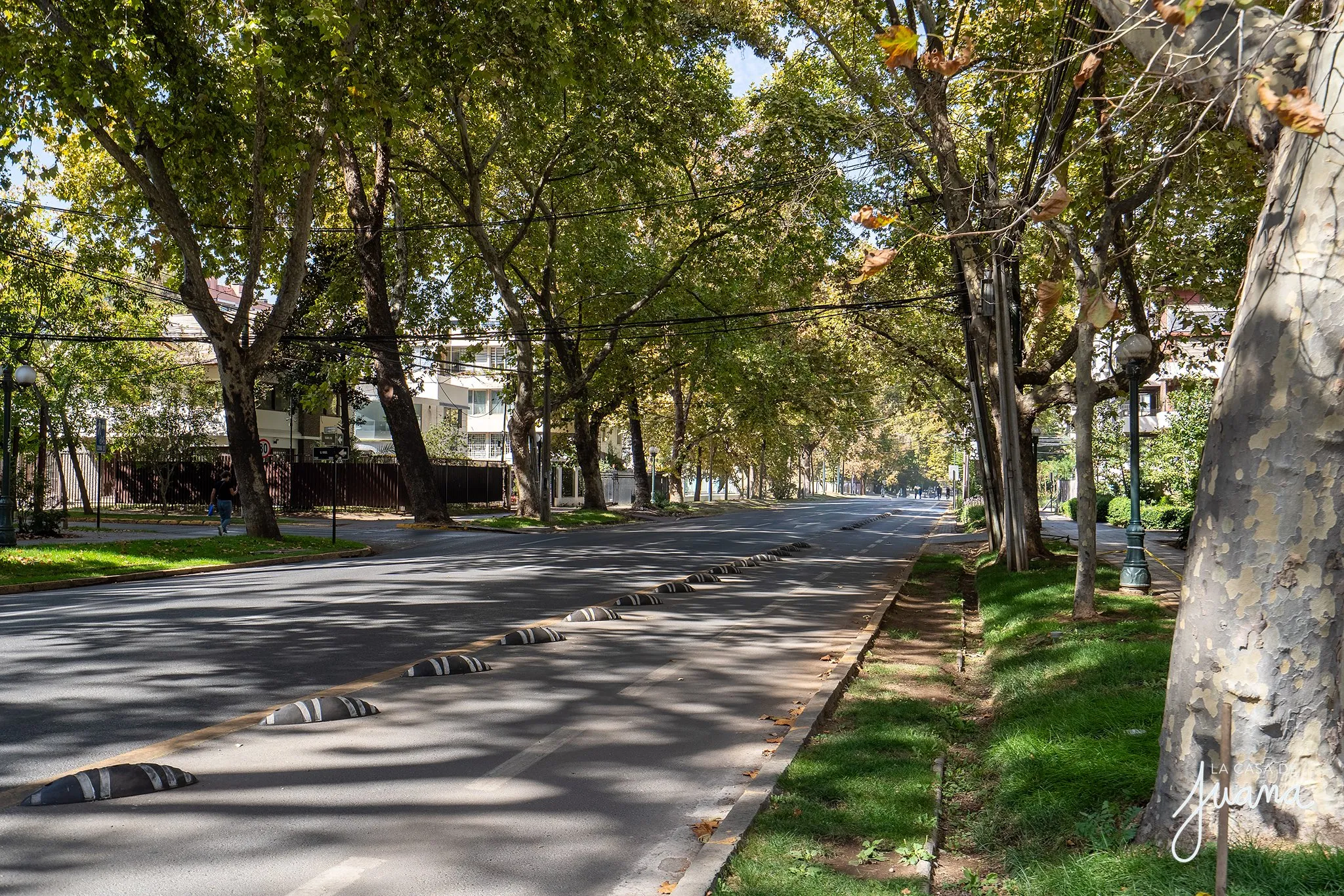 Piso_Ricardo_Lyon_I_image_29