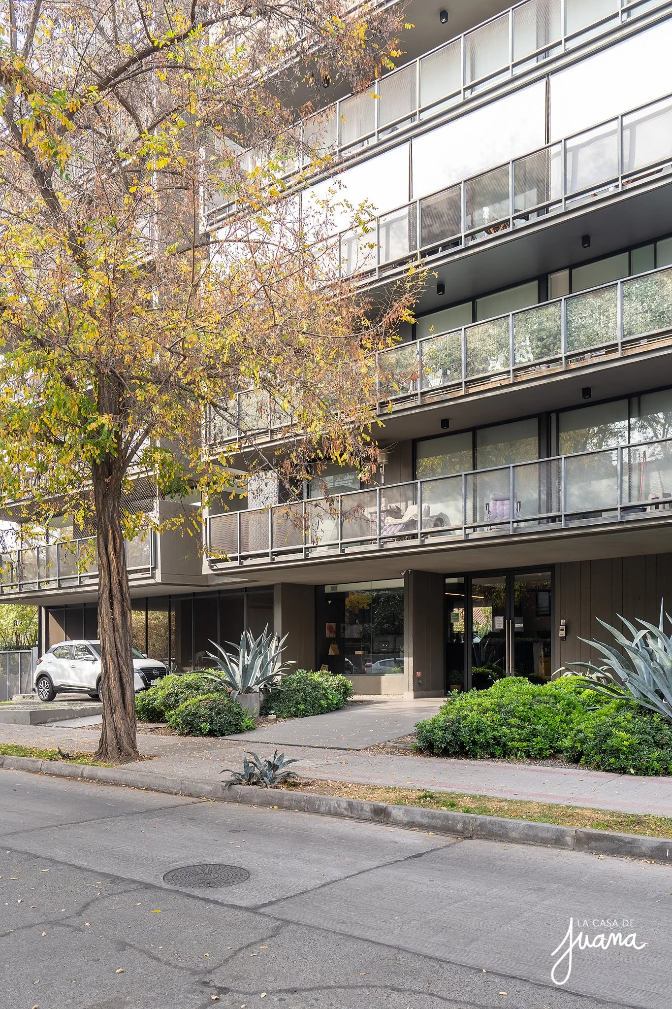 Piso_Eduardo_de_La_Barra_image_34