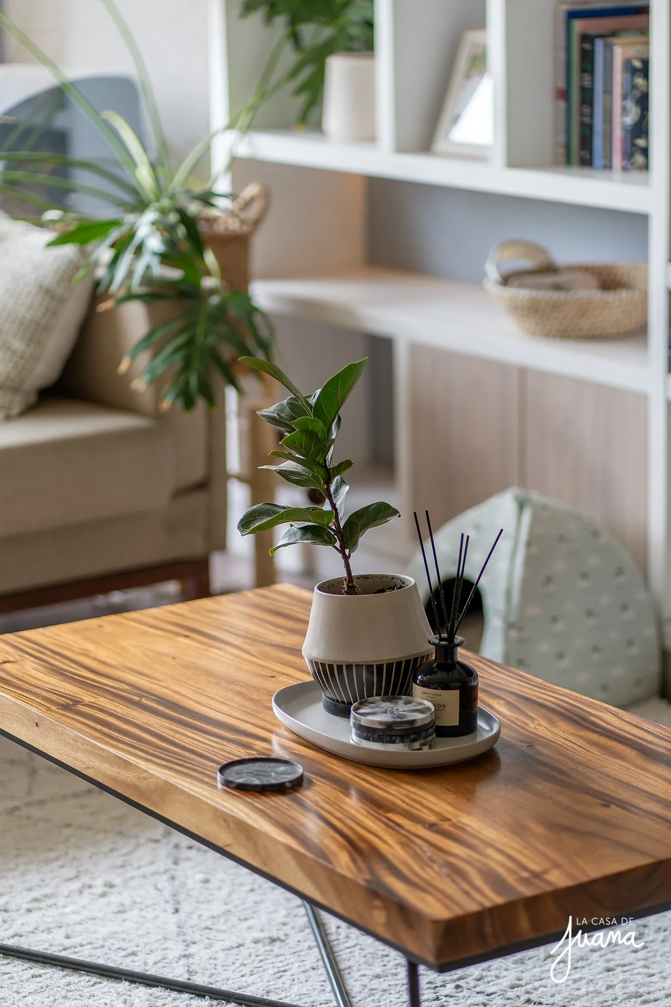 Piso_Las_Dalias_image_7