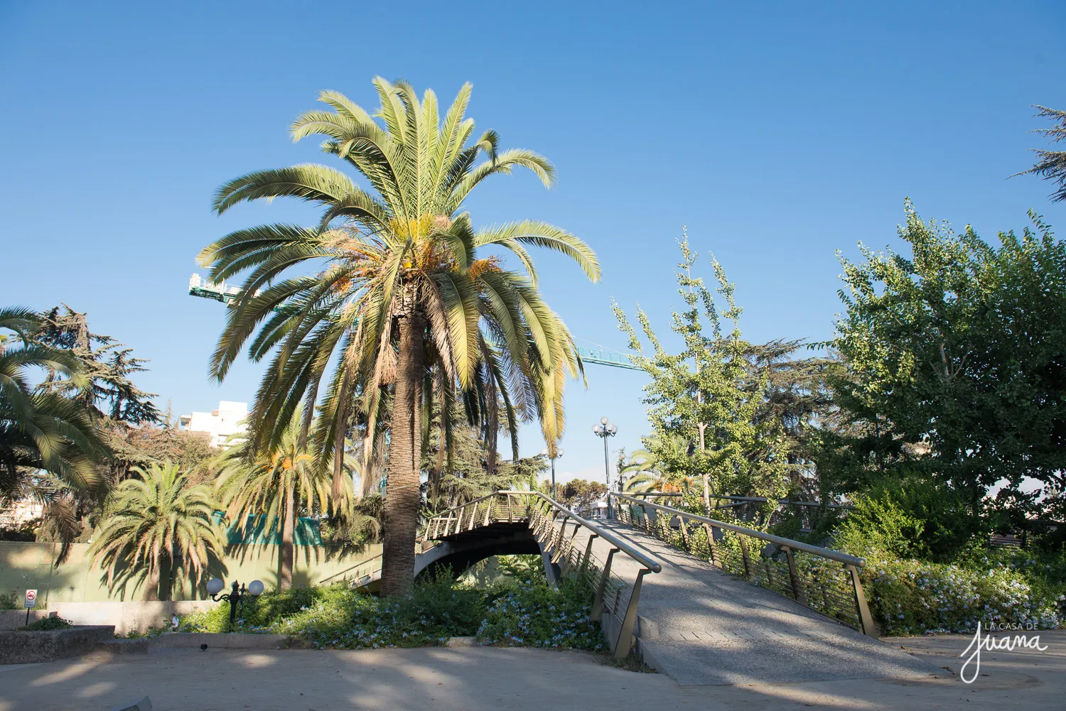 Piso_Pedro_de_Valdivia_image_23