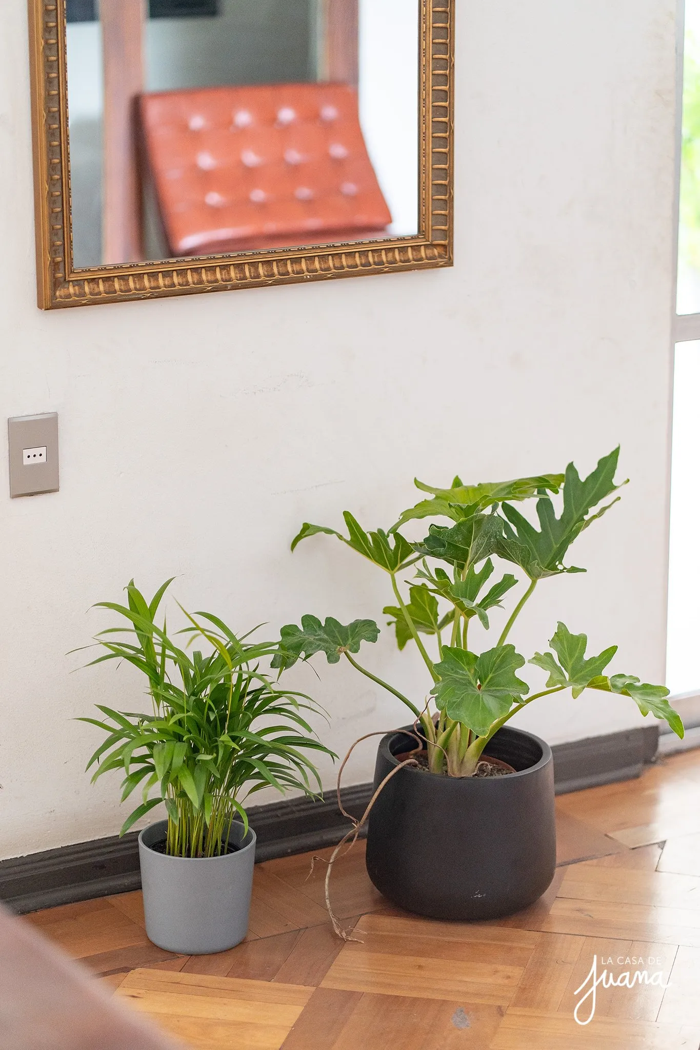 Casa_Echeñique_image_11