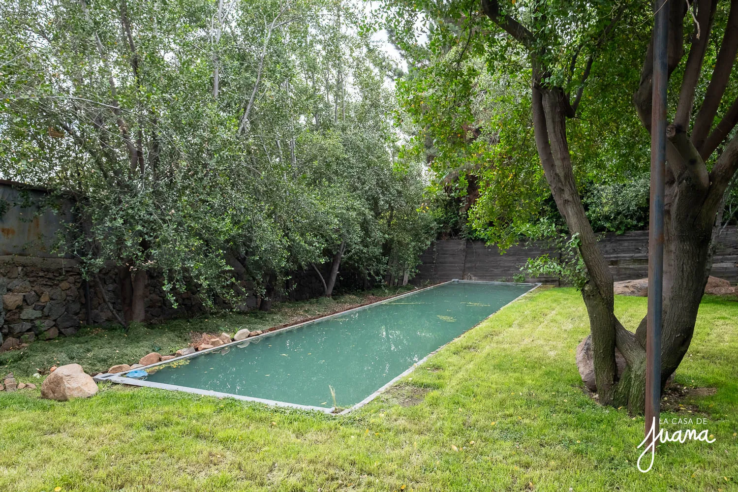 Casa_Las_Raíces_image_19