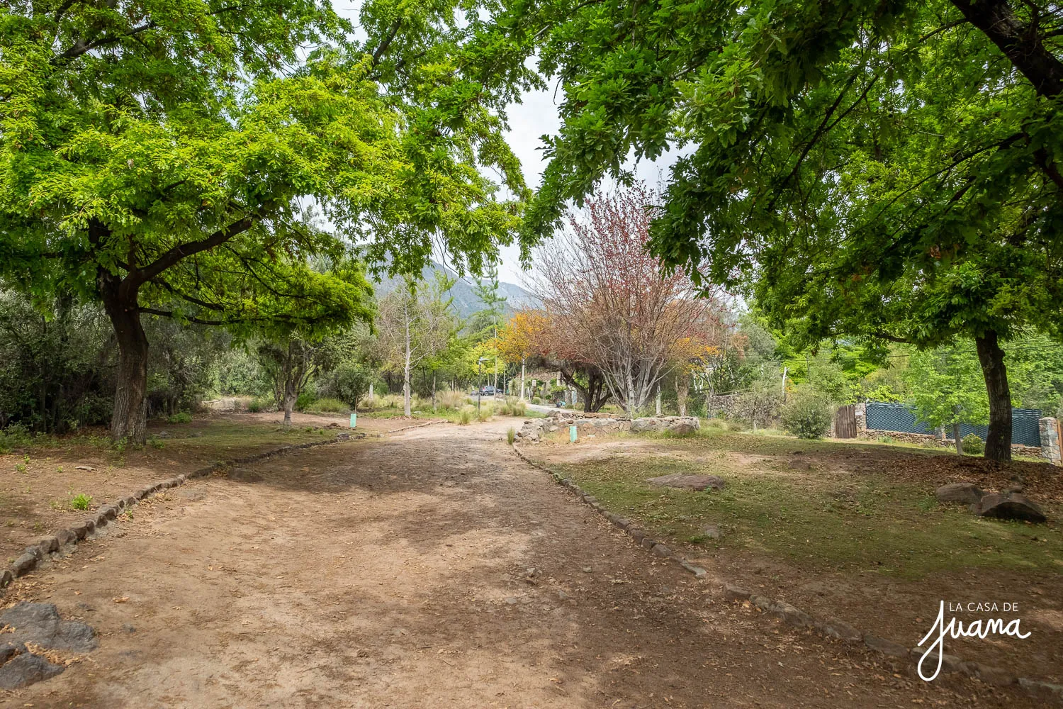 Casa_Las_Raíces_image_63