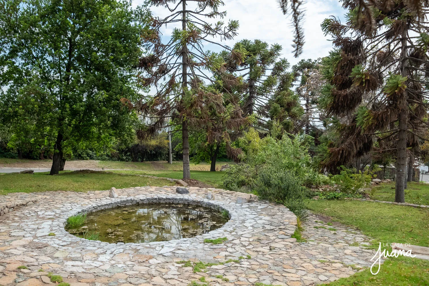Casa_Las_Raíces_image_64
