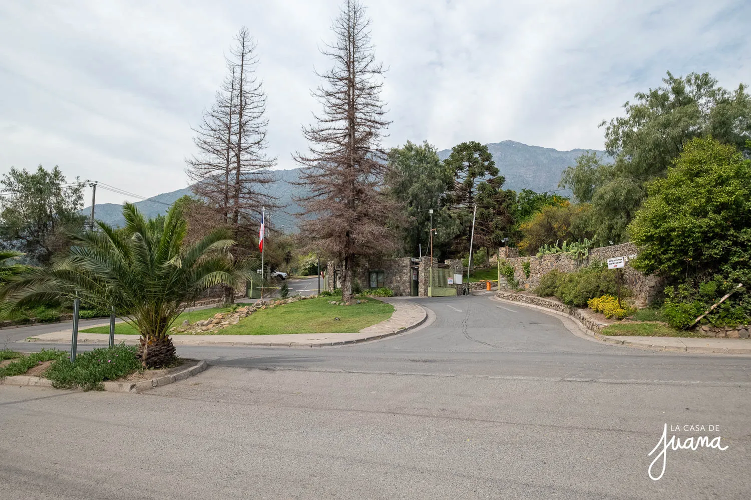 Casa_Las_Raíces_image_65