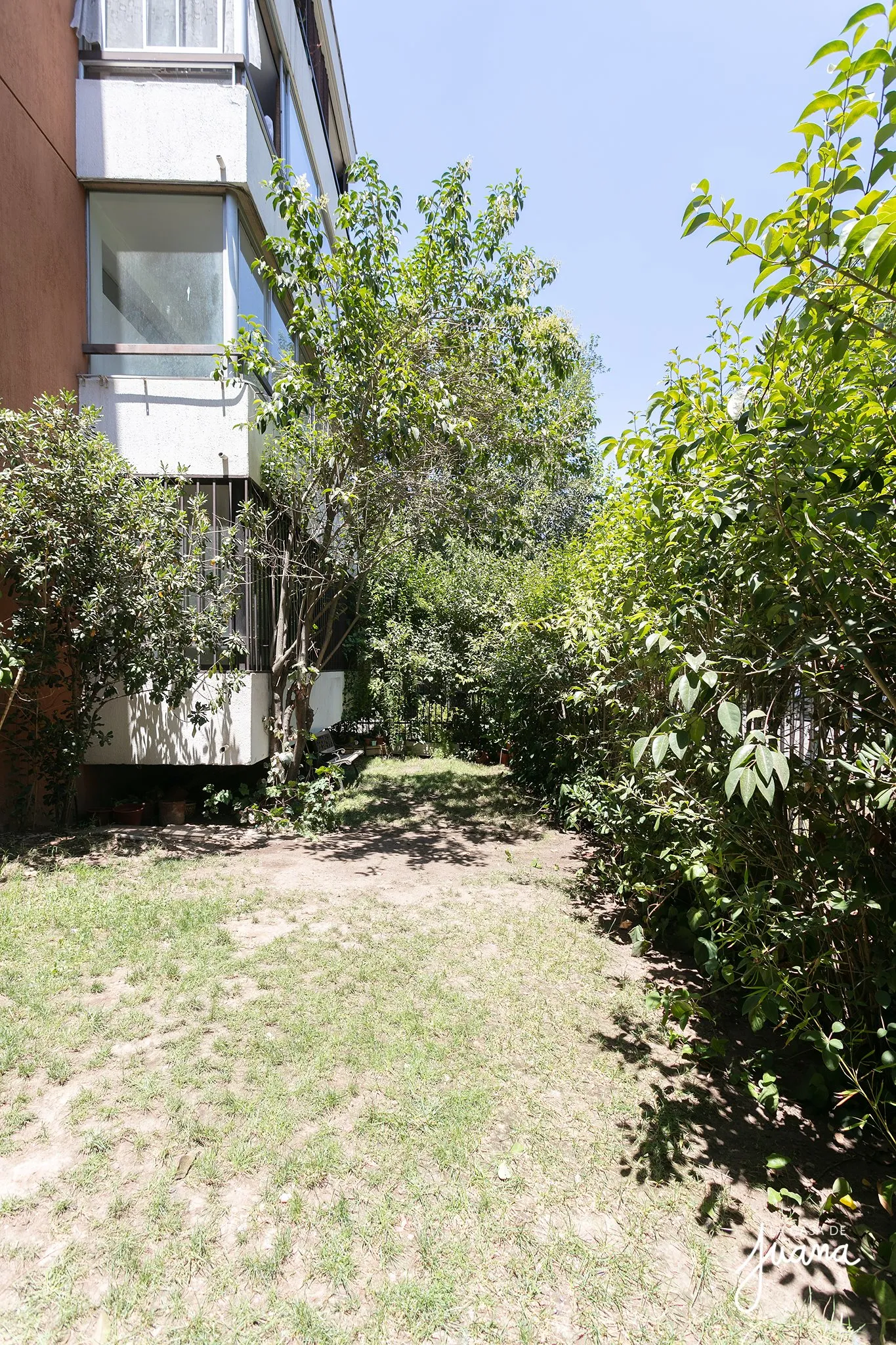 Patio_Luis_Thayer_Ojeda_image_23