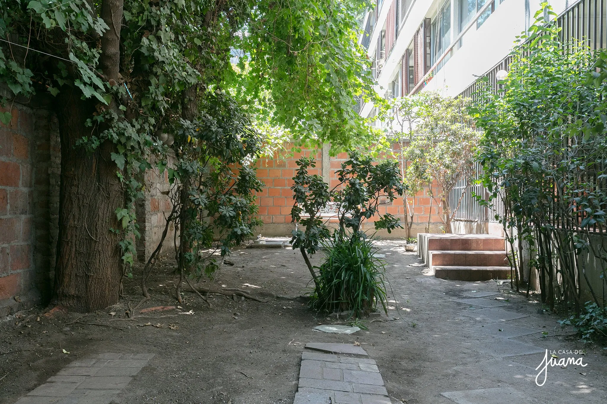 Patio_Luis_Thayer_Ojeda_image_24