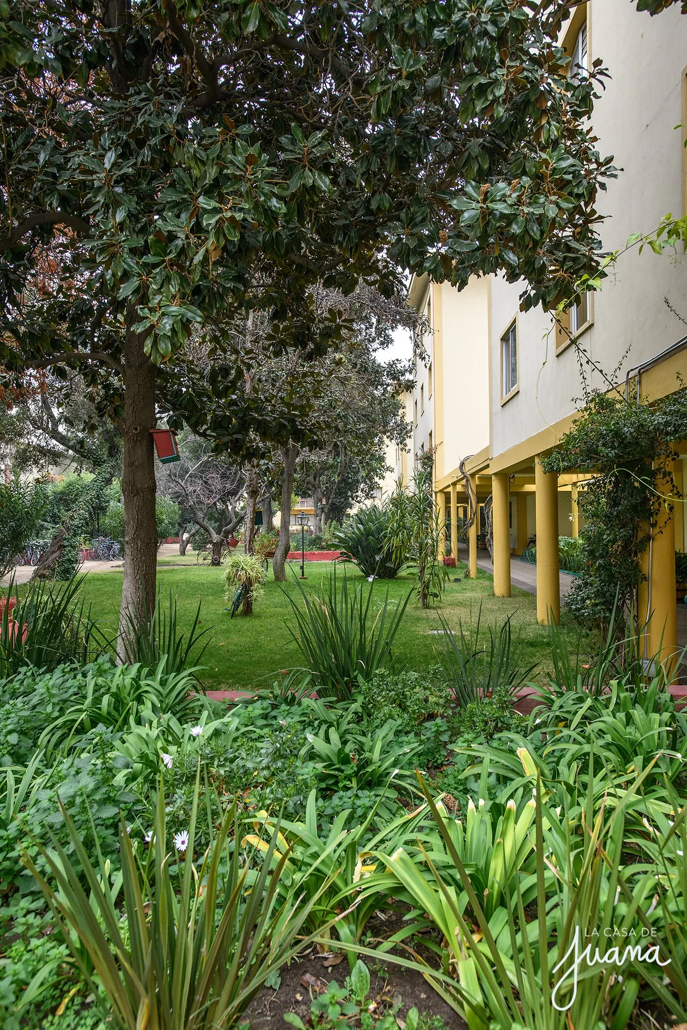 Piso_Bustamante_image_33