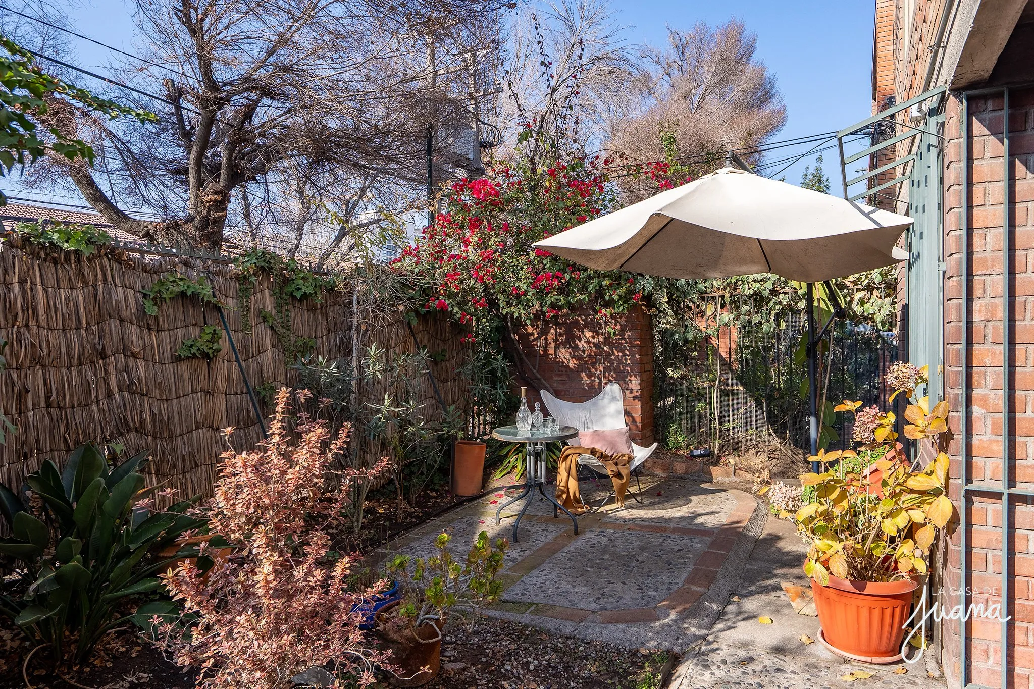 Patio_Hamburgo_image_19