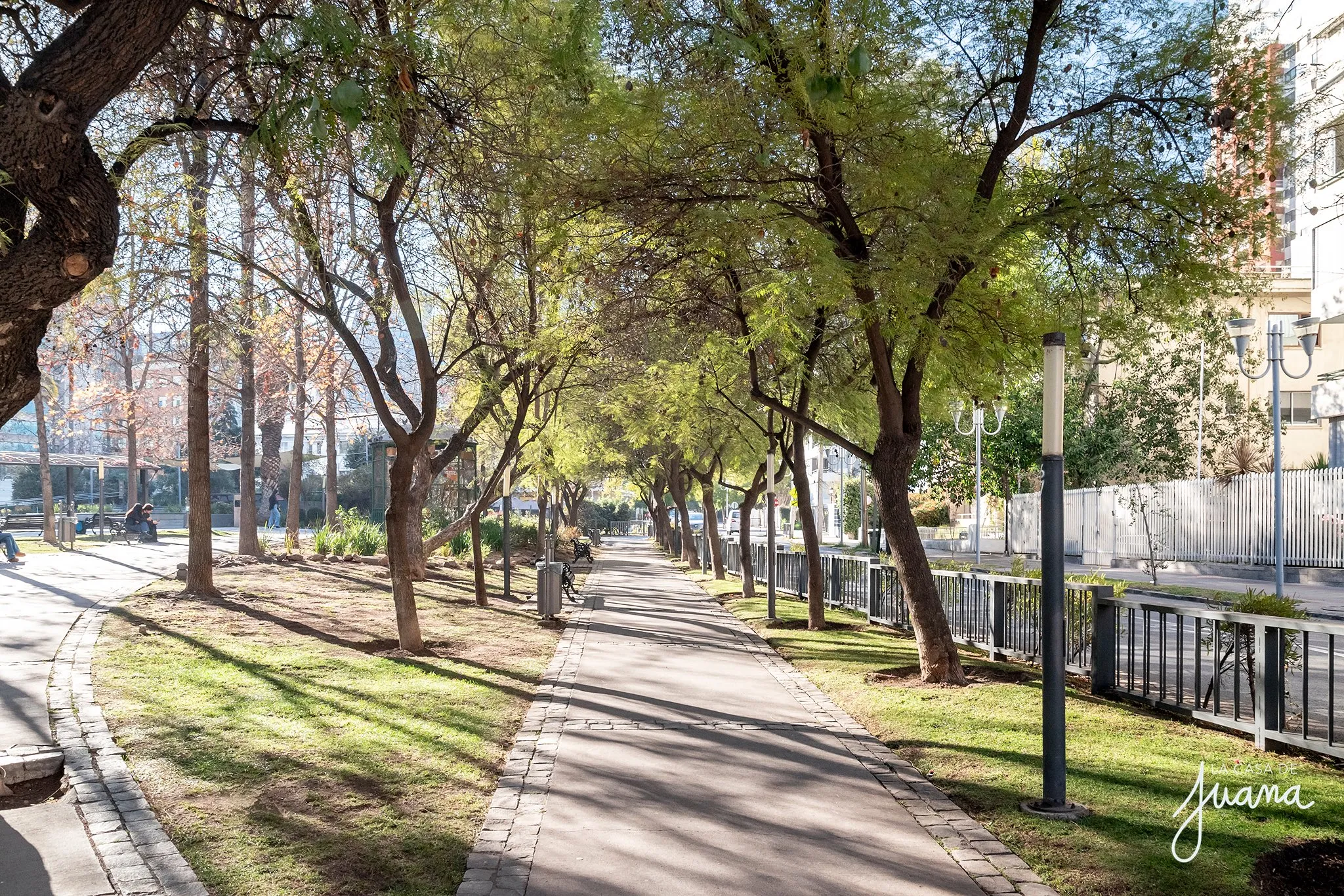 Piso_Don_Carlos_image_48