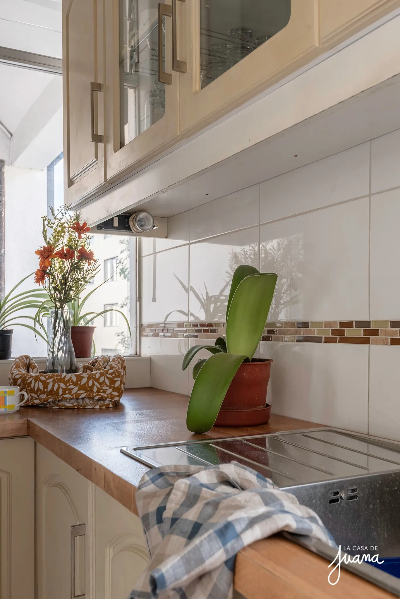 Piso_El_Lleuque_image_18