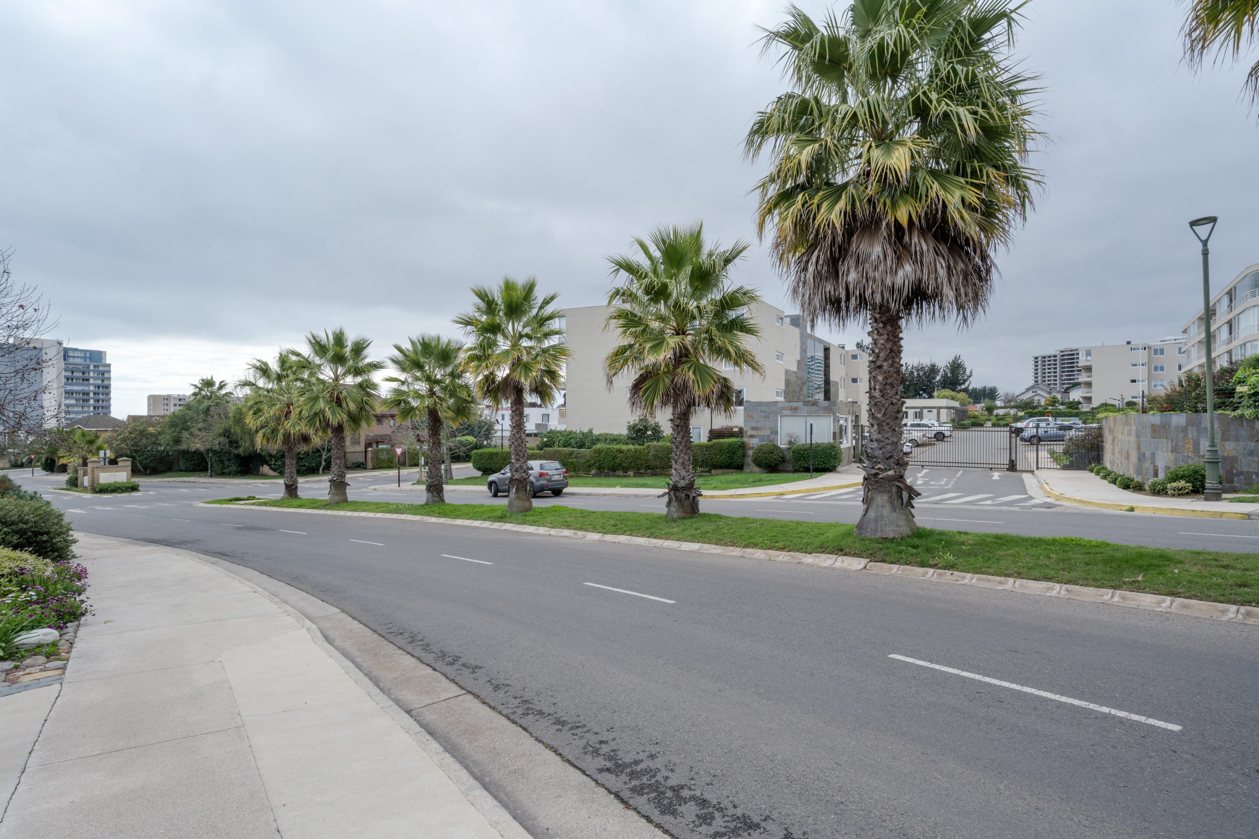 Lomas de Montemar