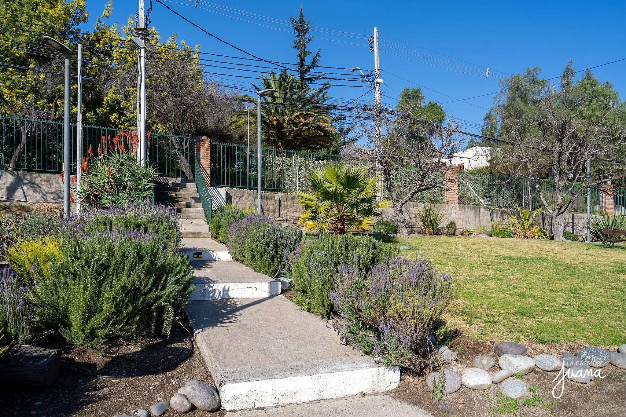 Casa_Julia_Bernstein_image_49