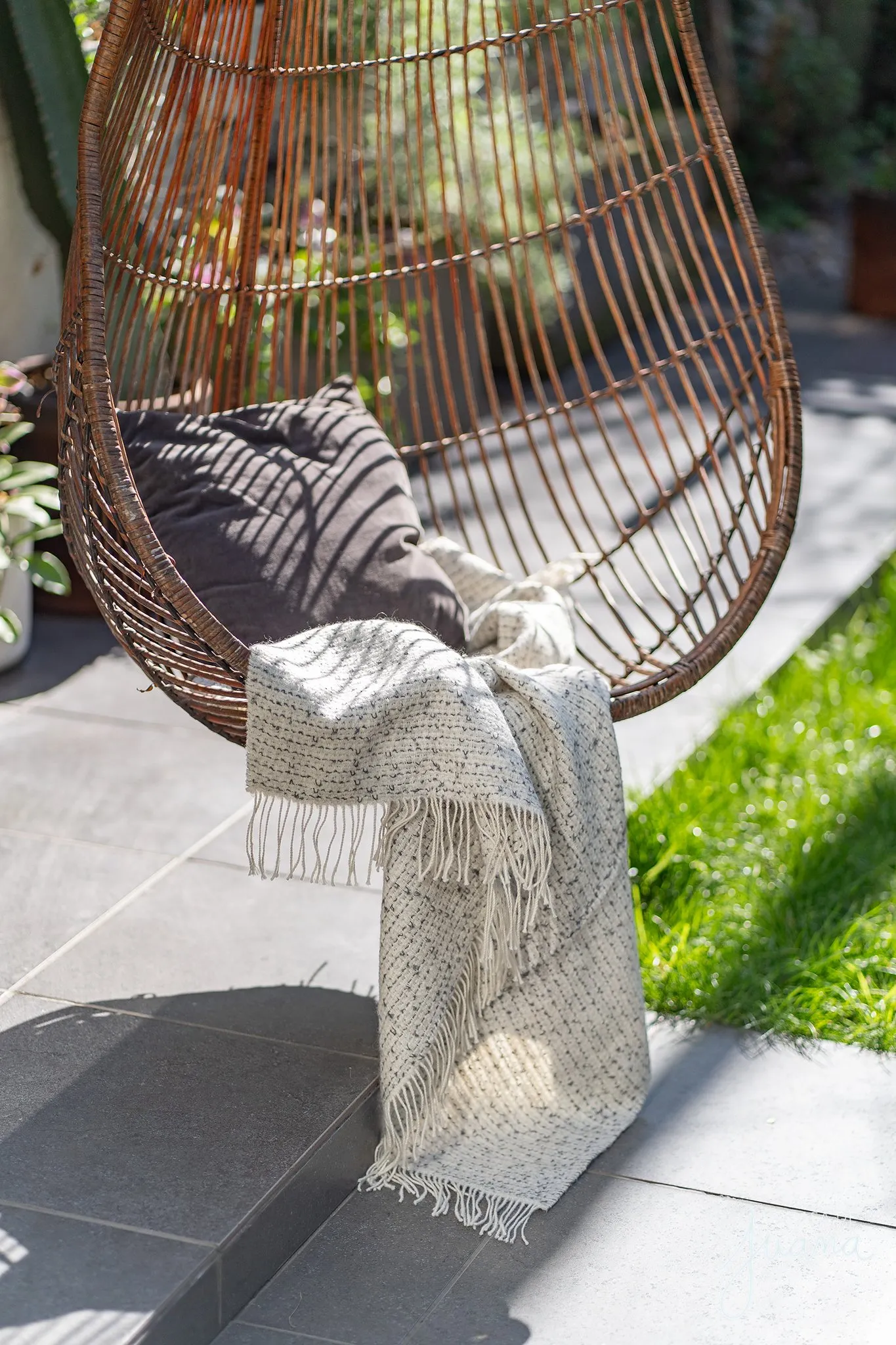 Patio_García_Moreno_image_22