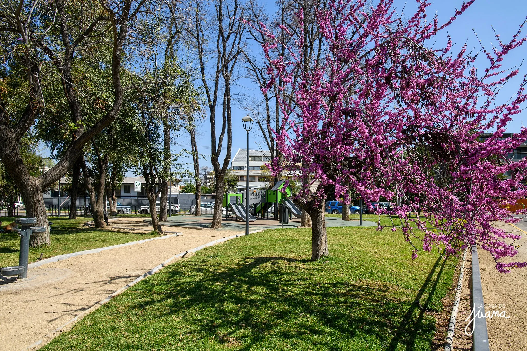 Casa_Pedro_Luna_image_33