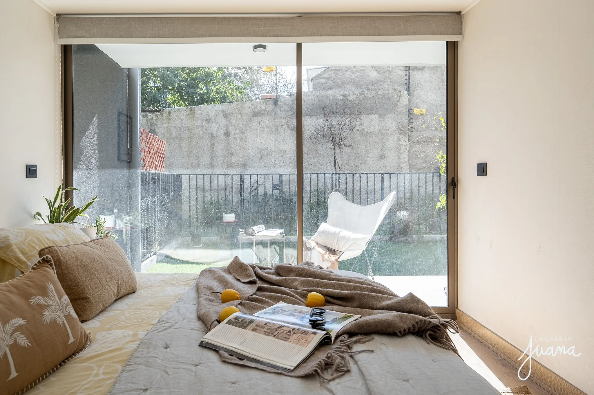 Patio_Pedro_Torres_image_18
