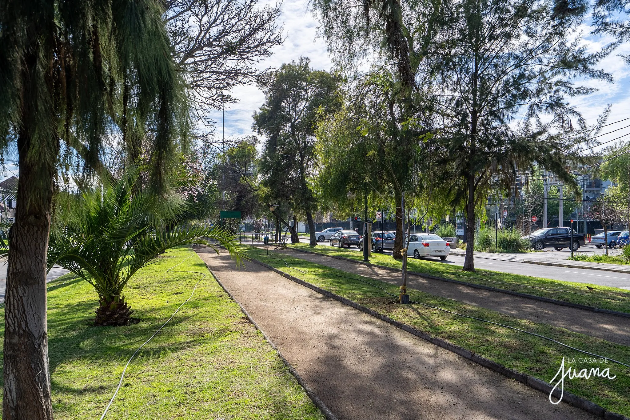 Patio_Pedro_Torres_image_25