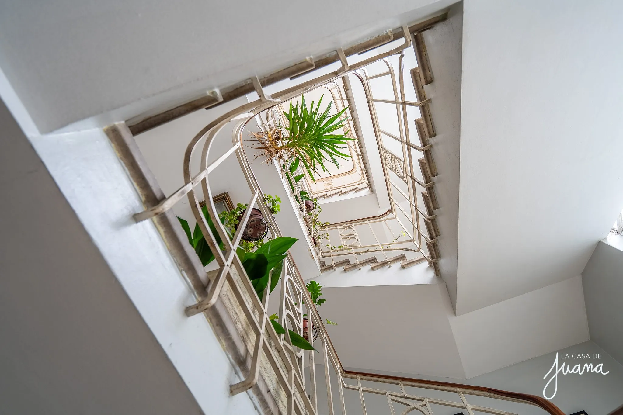 Piso_California_image_2