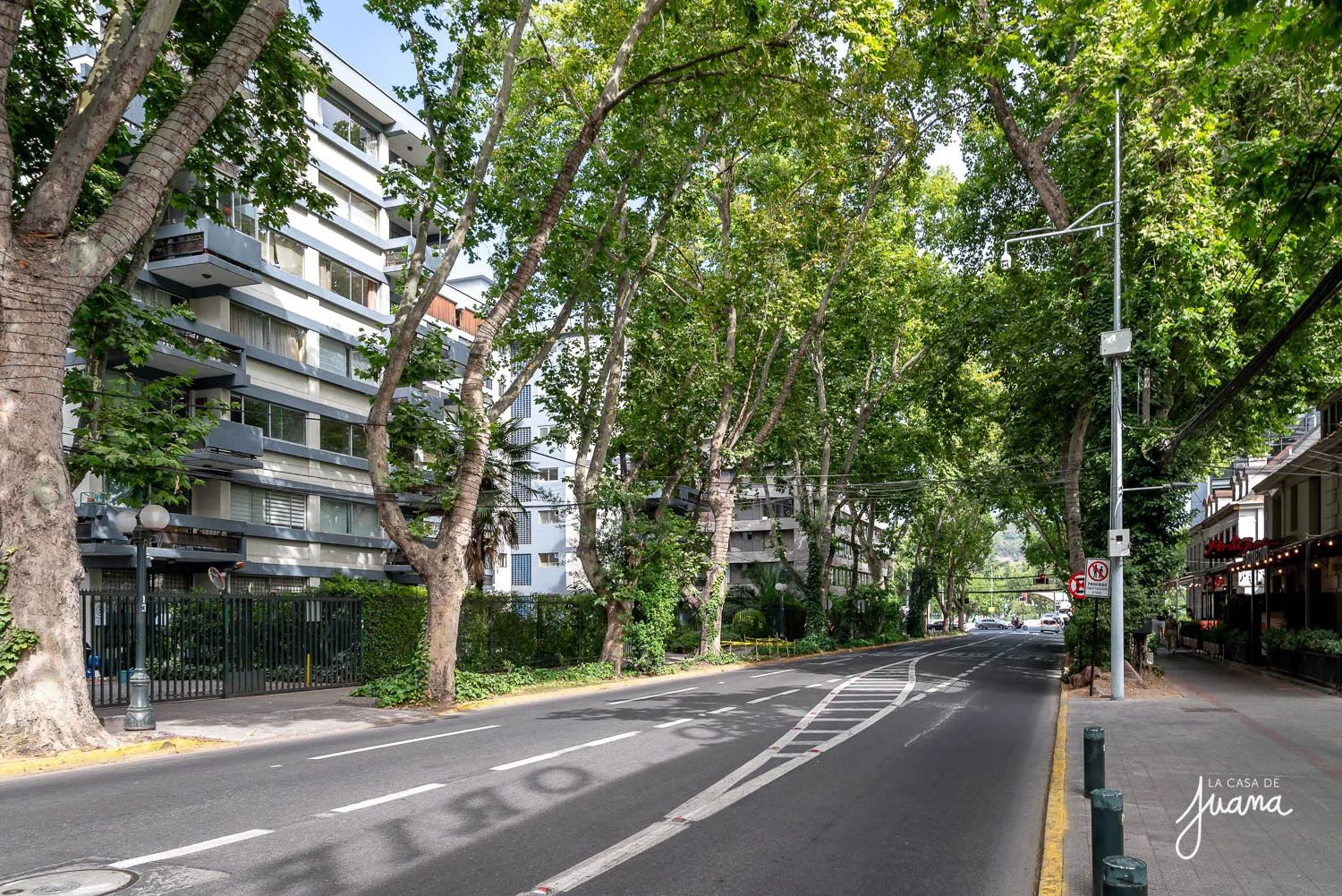 Piso_Pedro_de_Valdivia_image_49