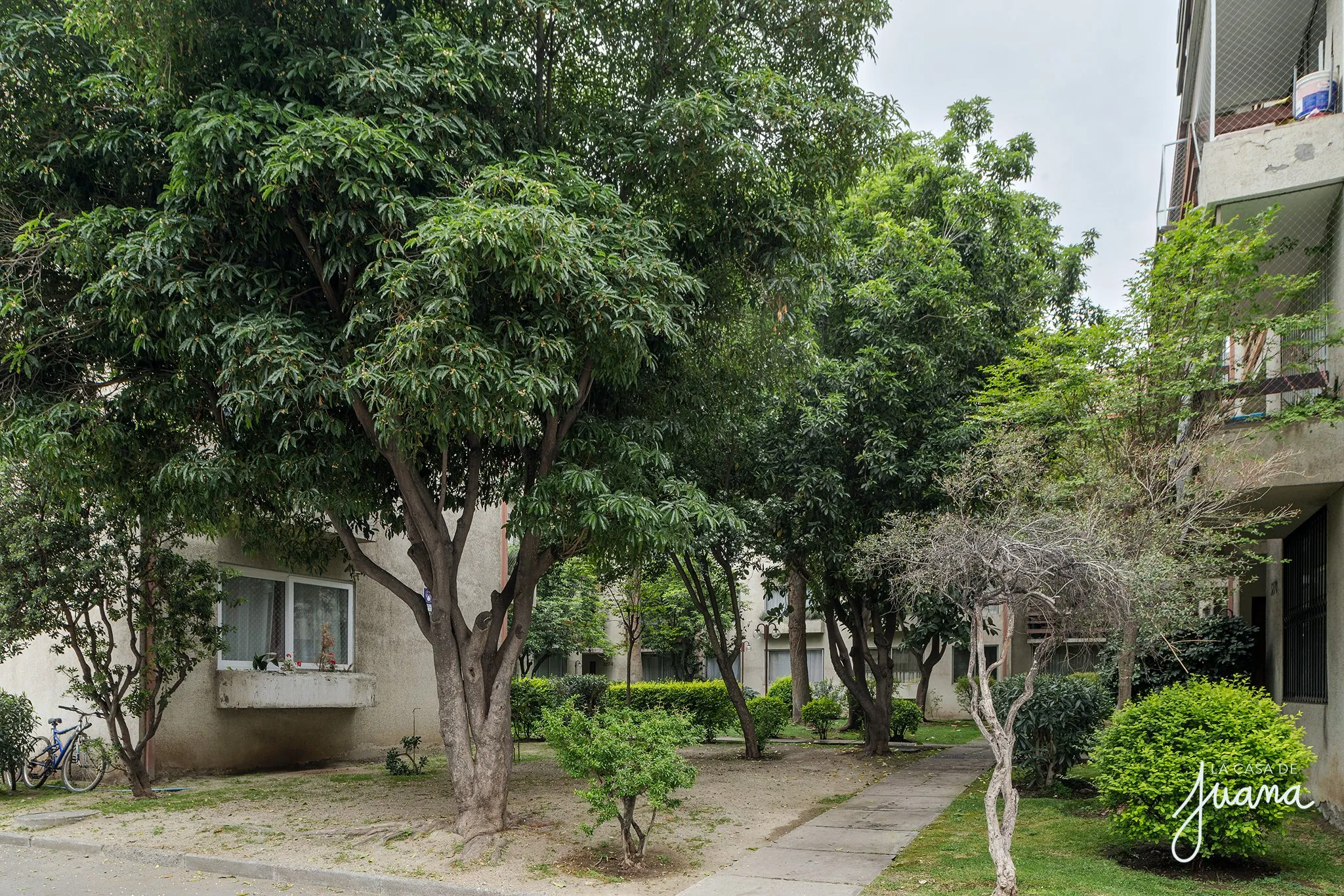 Dúplex_Dublé_Almeyda_I_image_45